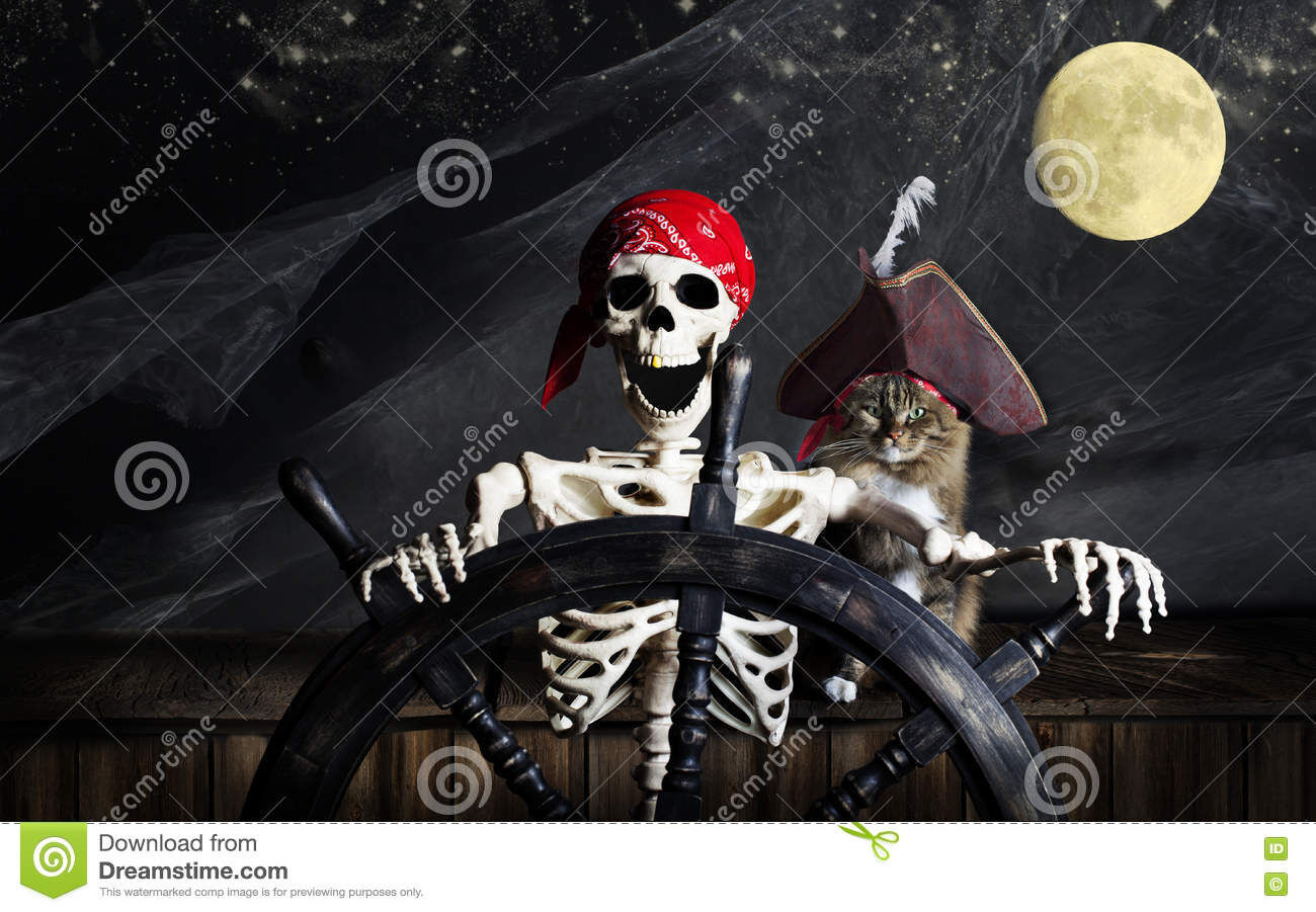 skeleton pirate with cat and full moon Dreamstime